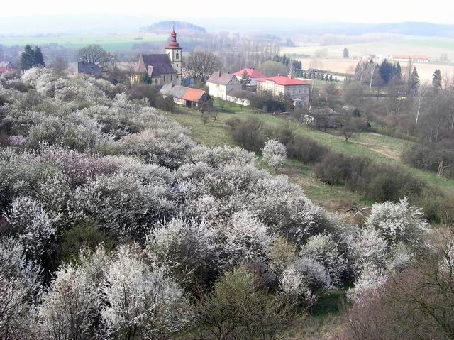 Lan�ov